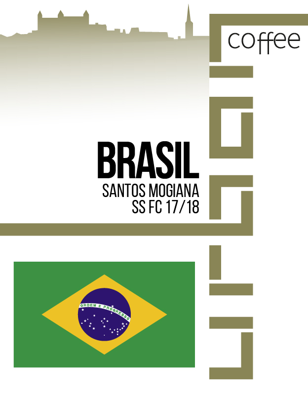 Brasil Santos Mogiana SS FC 17/18