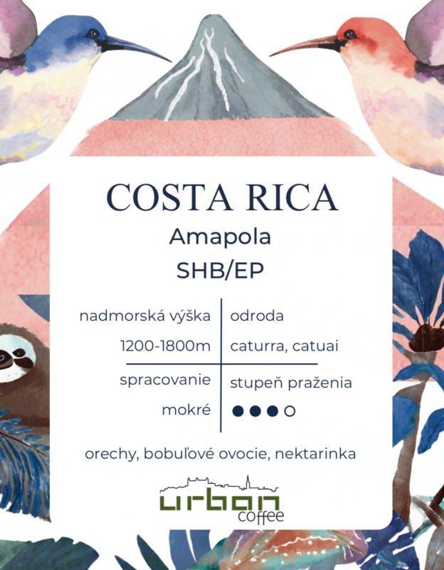 Costa Rica Amapola